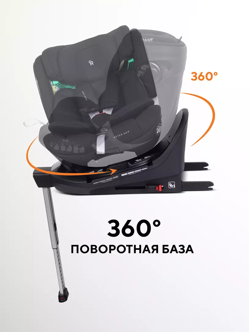 База Rant Aster №5