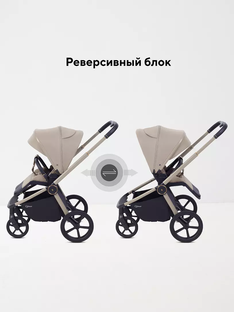 Коляска 2в1 Rant Flex Soft Therm  №11