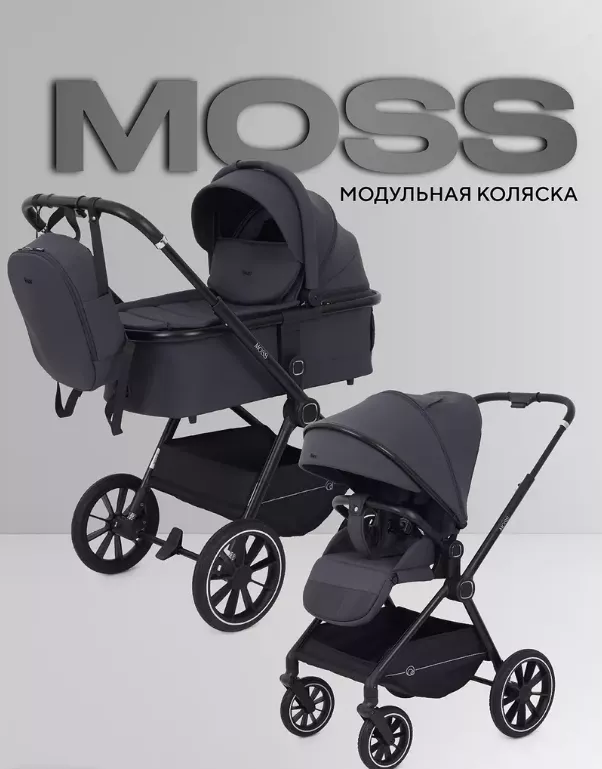 Коляска Rant Moss 2025 2в1 Коляска Rant Moss 2025 2в1